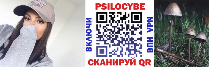 Купить где  Заринск  Псилоцибиновые грибы MAGIC MUSHROOMS 